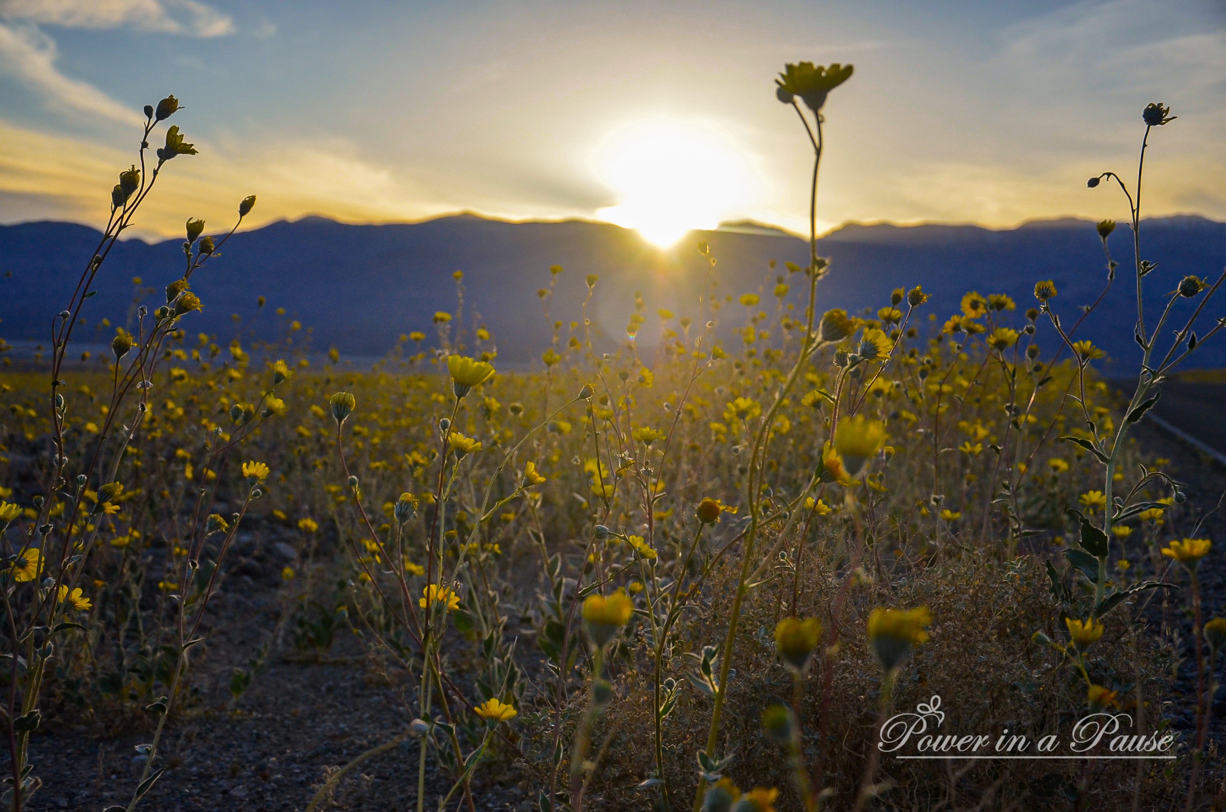 Heed the call, See the Light, Become