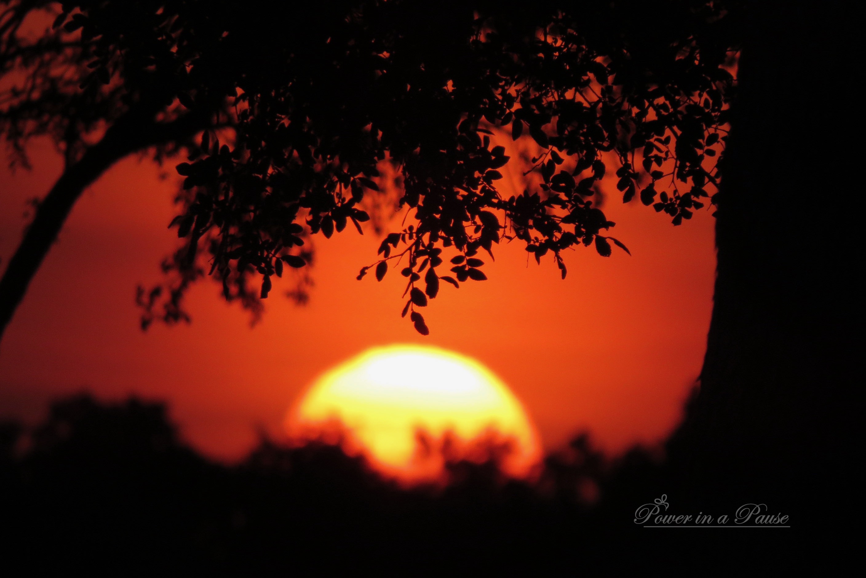 What’s with Resolutions?